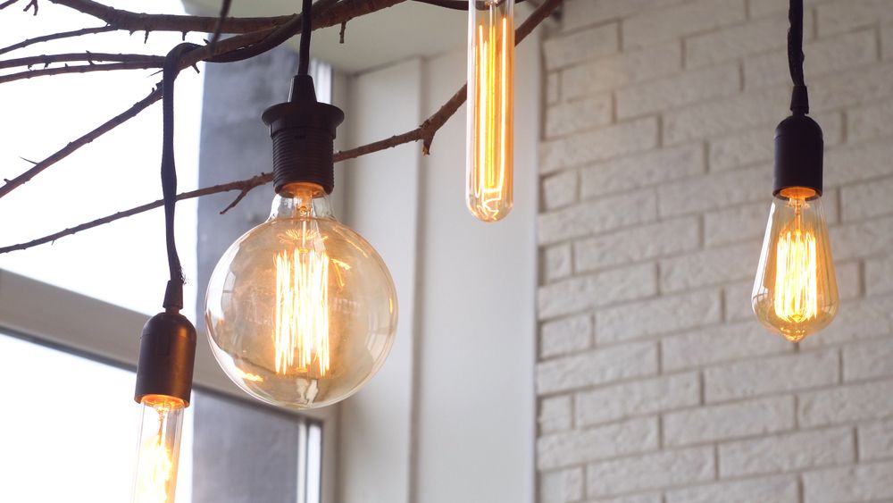 Illuminated lightbulbs of various shapes draped over a branch against a white brick wall